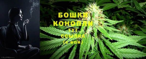 jwh Белокуриха