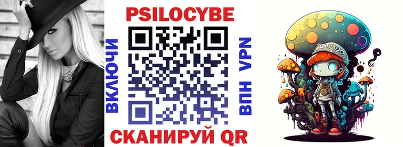МЕГА ТОР  даркнет состав  Псилоцибиновые грибы GOLDEN TEACHER  Павловск 